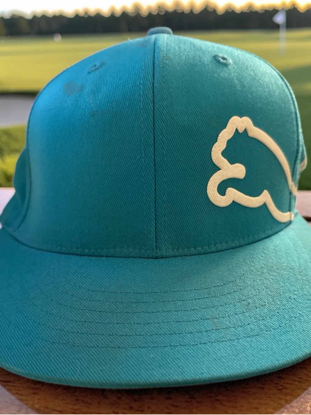 Puma Teal Snapback Hat with White Puma Logo